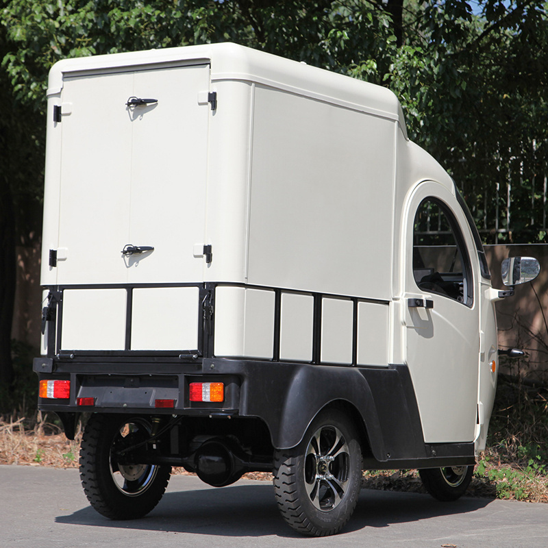 New energe small mini electric cargo van truck made in China