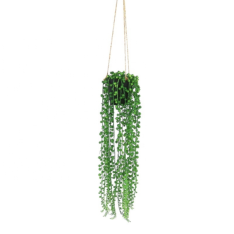 Ceiling hang mini plants for home decoration indoor decoration