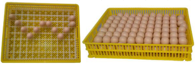 88 chicken egg incubators for sale