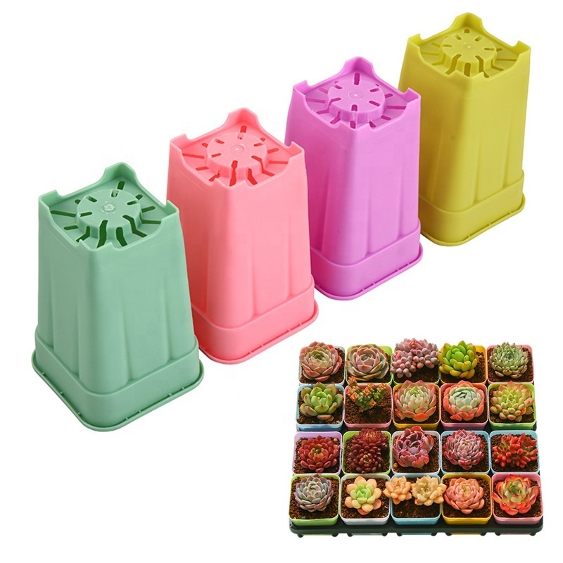 YUNCHENG TD30  410*490*65mm PP Succulent Plant Nursery Pot Carry Tray For Transfer Flower Pot