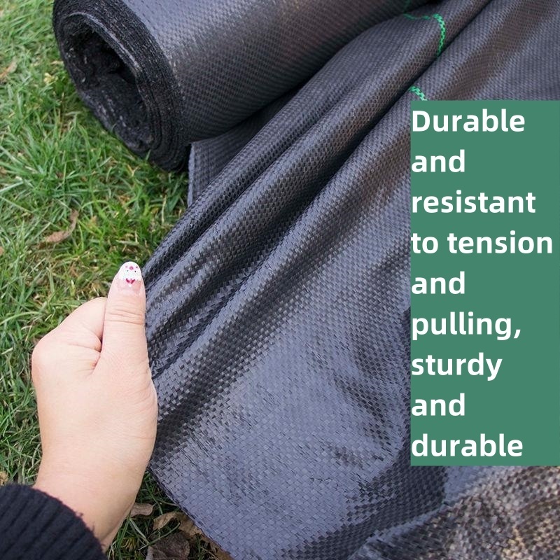 Ground Cover Control Greenhouse Weeding Seed Sheet Antigrass Barrier Black Plastic Mulch Fabric Agriculture Natural Pp Weed Mat