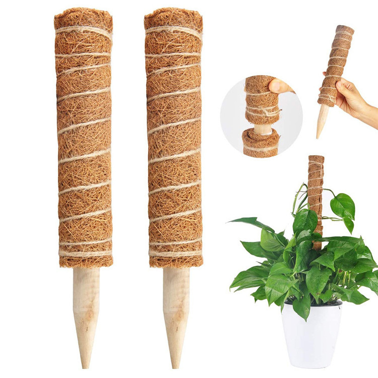 Yuncheng 30Cm 40Cm 50Cm 60Cm 70Cm 80Cm 90Cm 100Cm Pvc Latex Plant Vine Support Climbing Coco Sticks Detachable Moss Pole