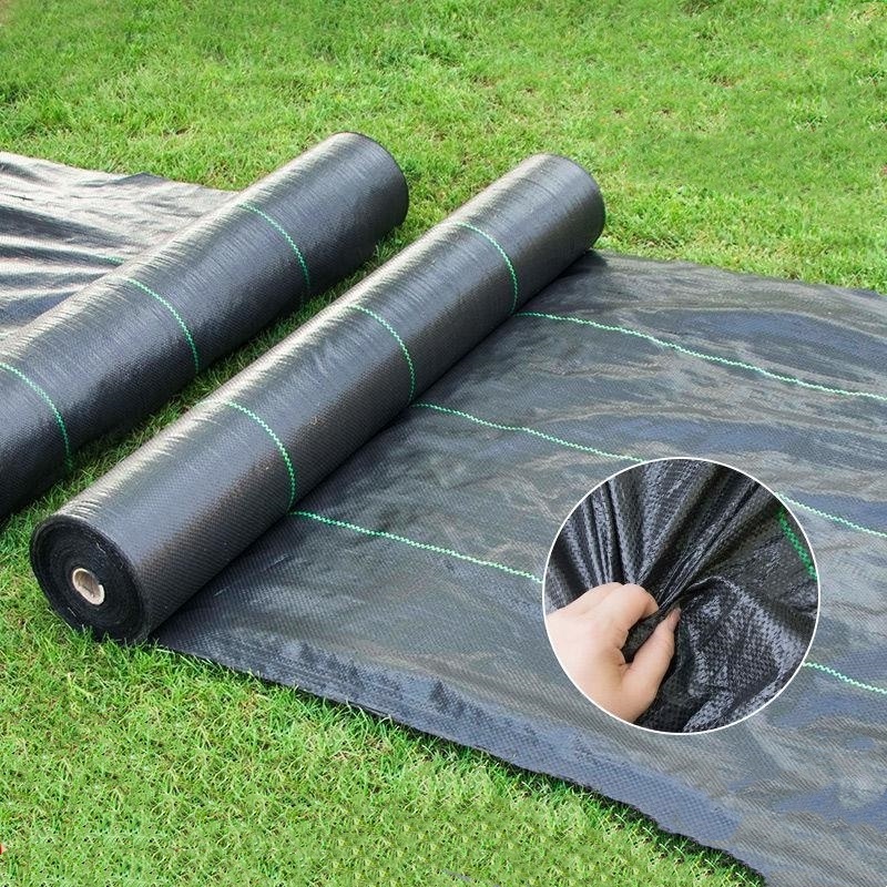 Ground Cover Control Greenhouse Weeding Seed Sheet Antigrass Barrier Black Plastic Mulch Fabric Agriculture Natural Pp Weed Mat