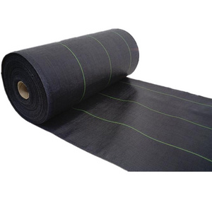 100% Anti Grass Pp Woven Grass Control Cloth Agro Plant Ground Cover Landscape Fabric 100Gsm Black Plastic Grass Barrier Mat