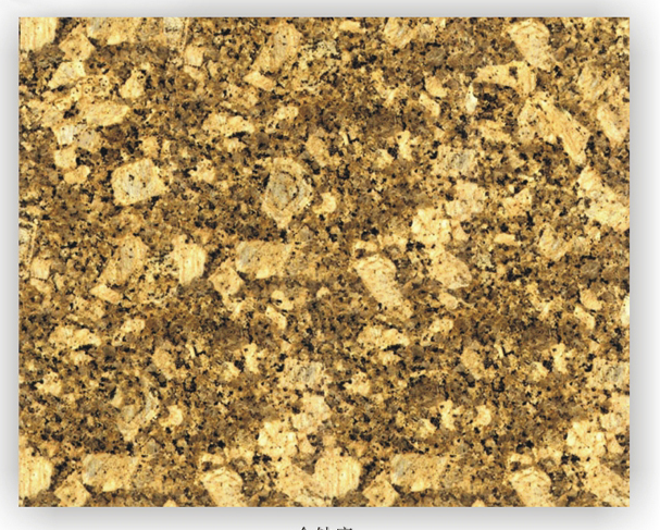 Flamed Yellow Giallo Fiorito Cream 30mm Thick Granite Slab Tiles For Kitchen Countertop