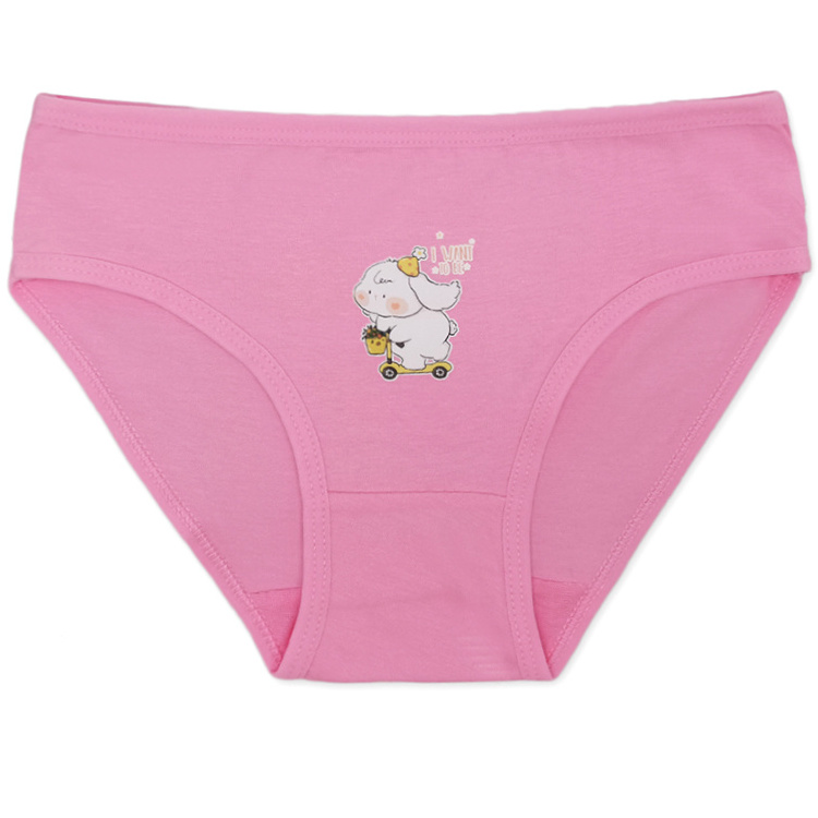 Cute Girls Brief Kids Cotton Underwear Teenage Girls Panties Kids Daily Briefs Children Underpants