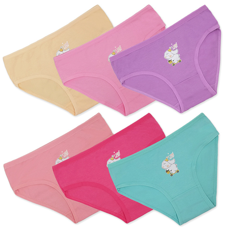 Cute Girls Brief Kids Cotton Underwear Teenage Girls Panties Kids Daily Briefs Children Underpants