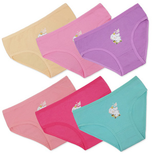 Cute Girls Brief Kids Cotton Underwear Teenage Girls Panties Kids Daily Briefs Children Underpants