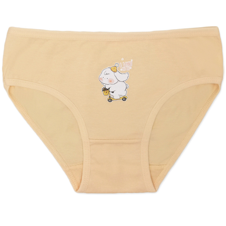 Cute Girls Brief Kids Cotton Underwear Teenage Girls Panties Kids Daily Briefs Children Underpants