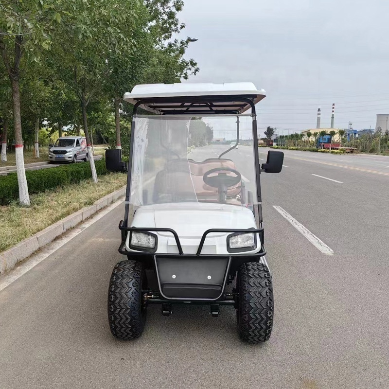 club car 2 black 4 seater prices cheap New Electric Golf Cart car For Sale with gas or electric power