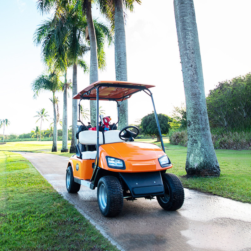 Mini Lithium Hunting Golf Buggy Cart Street Legal Adult 2-Sitzer 72v El Florida 4kw 4wd Shuttle With Rear Flip Seats