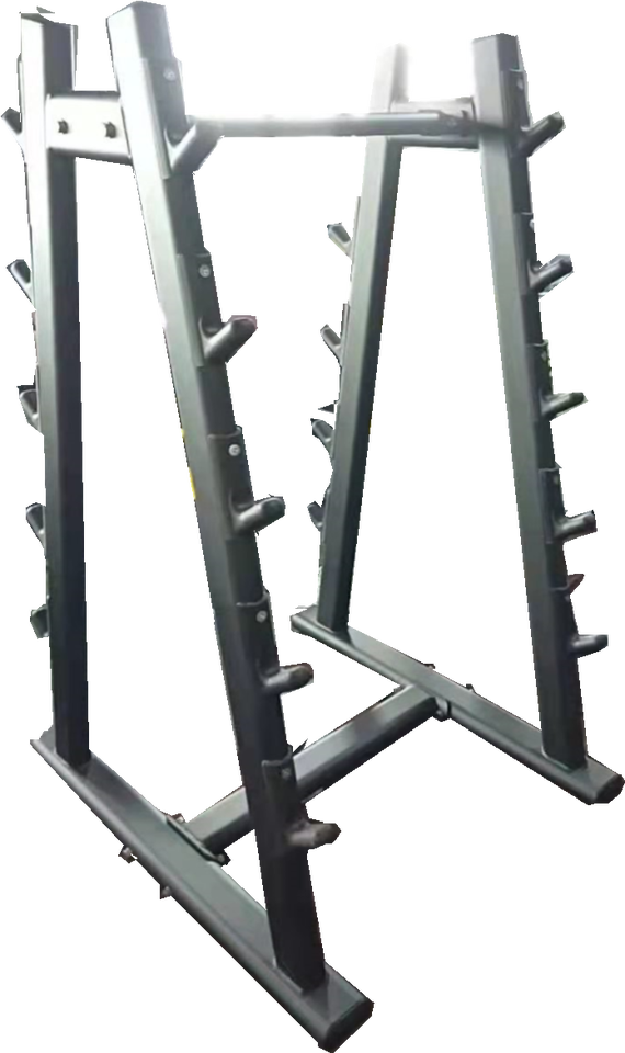 Multilevel Free Weight Storage Dumbbell Rack Stand for Home Gym