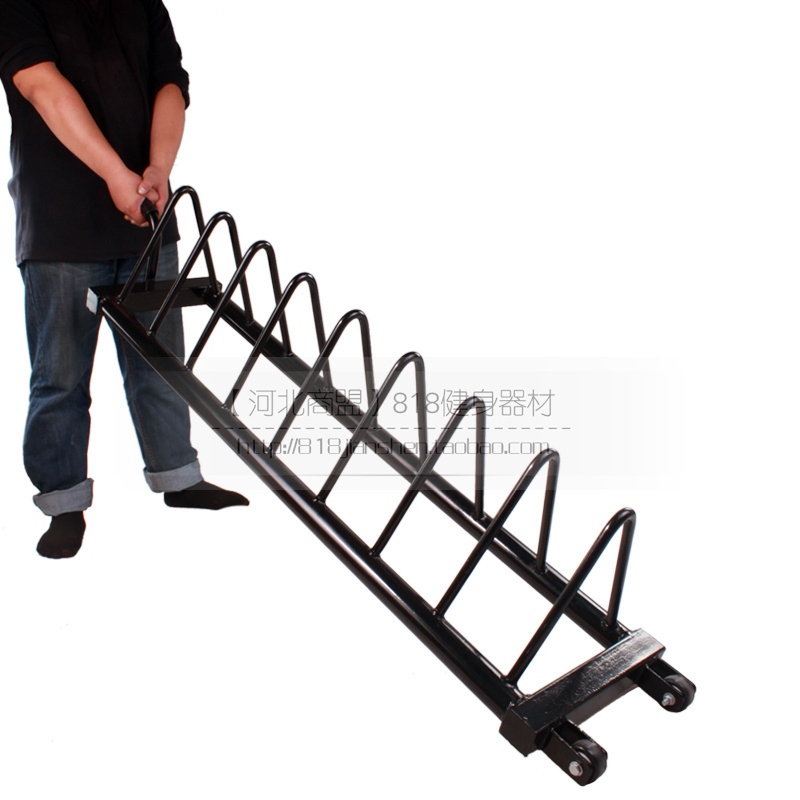 weight plate storage horizontal Plate Rack for bumper plate