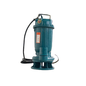 50mm outlet 0.75KW portable submersible sewage pump pond sewage suction pump