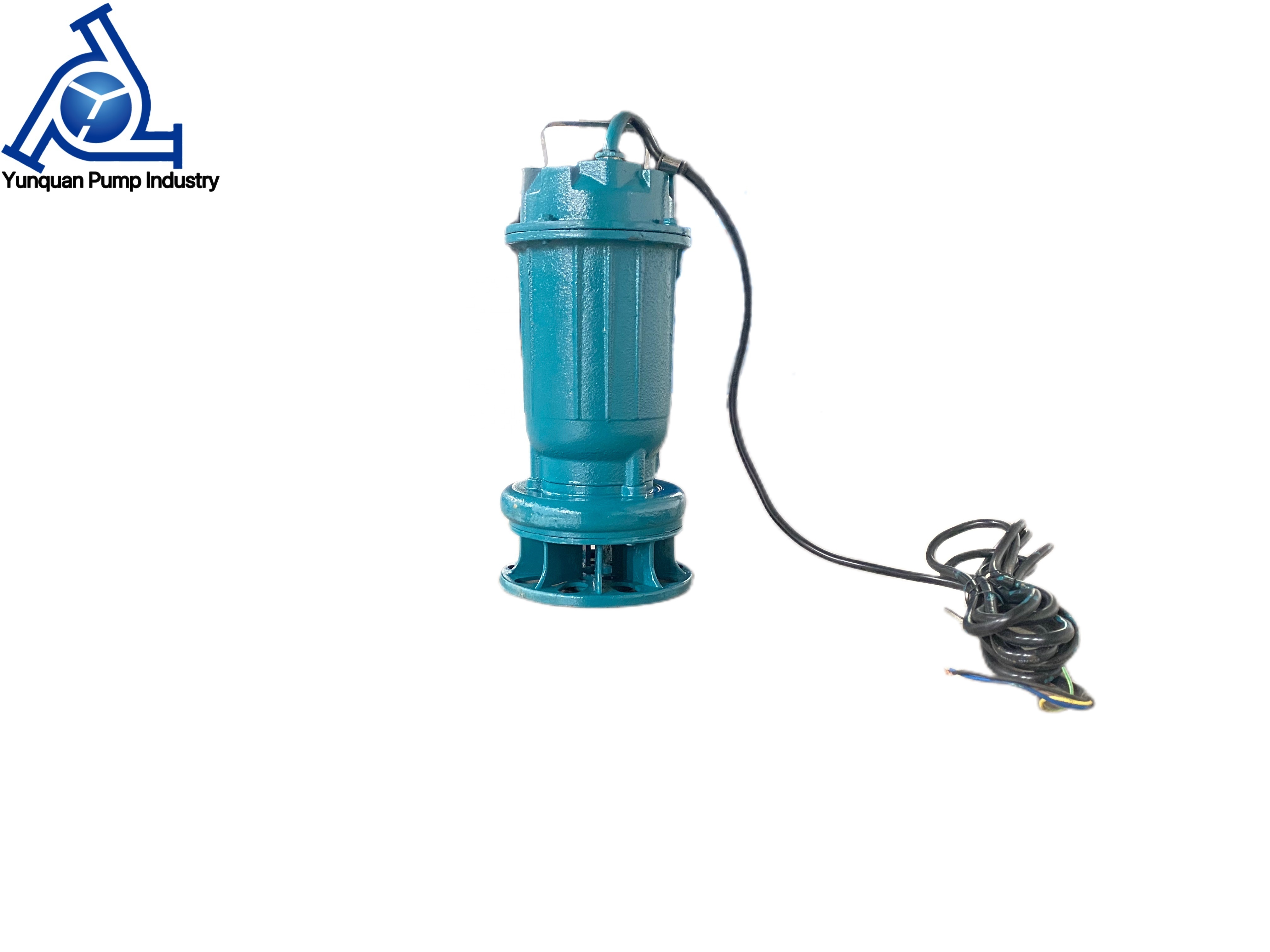 50mm outlet 0.75KW portable submersible sewage pump pond sewage suction pump