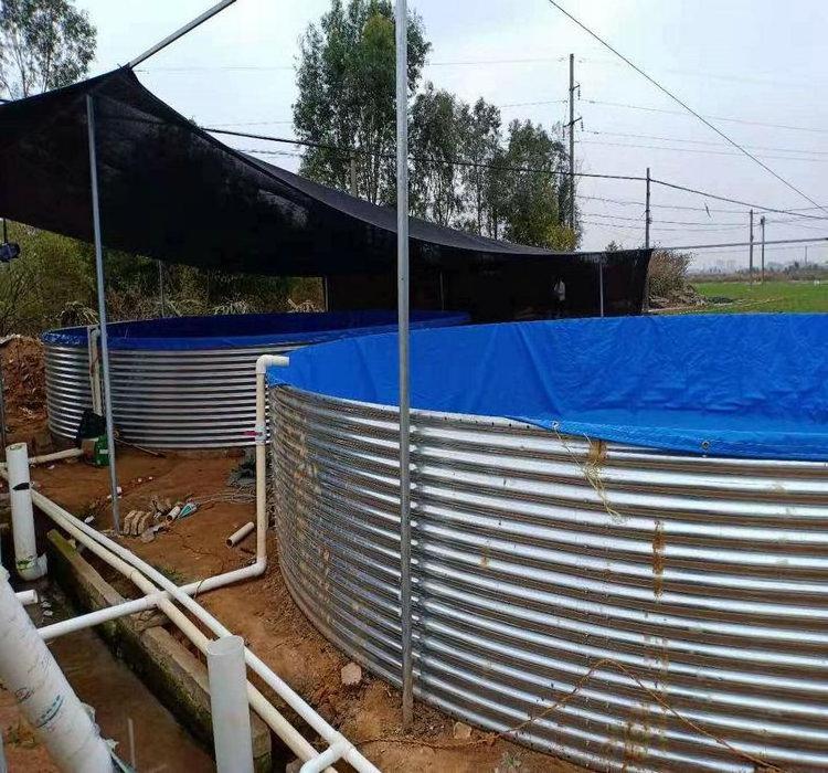 PVC and HDPE lining Biofloc Tank above ground bins for fish farming