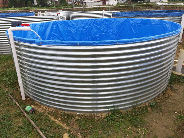 PVC and HDPE lining Biofloc Tank above ground bins for fish farming