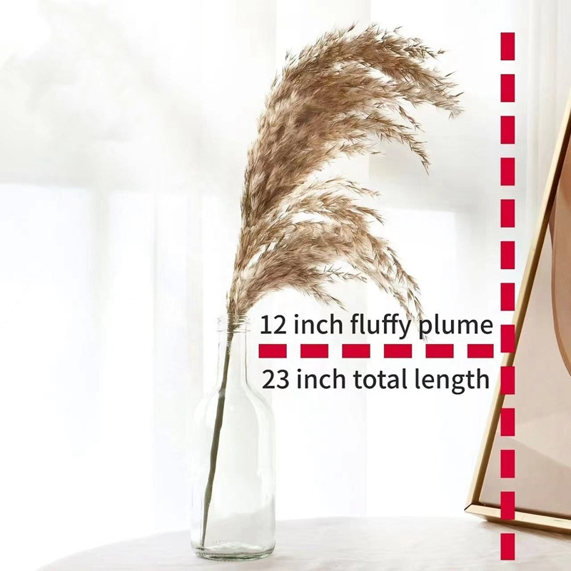 Wholesale Free Shipping Boho Wedding Home Decor Natural Dried Tall Fluffy Artificial Flower Reed Plume Luxuriant Pampas Grass