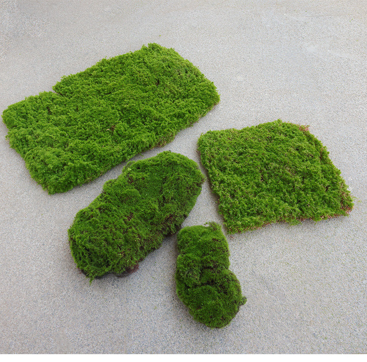 Moss Skin Moss Flocking Decoration Soft Installation Landscape Rockery Turf Lawn Hair Stone Simulation Moss Block