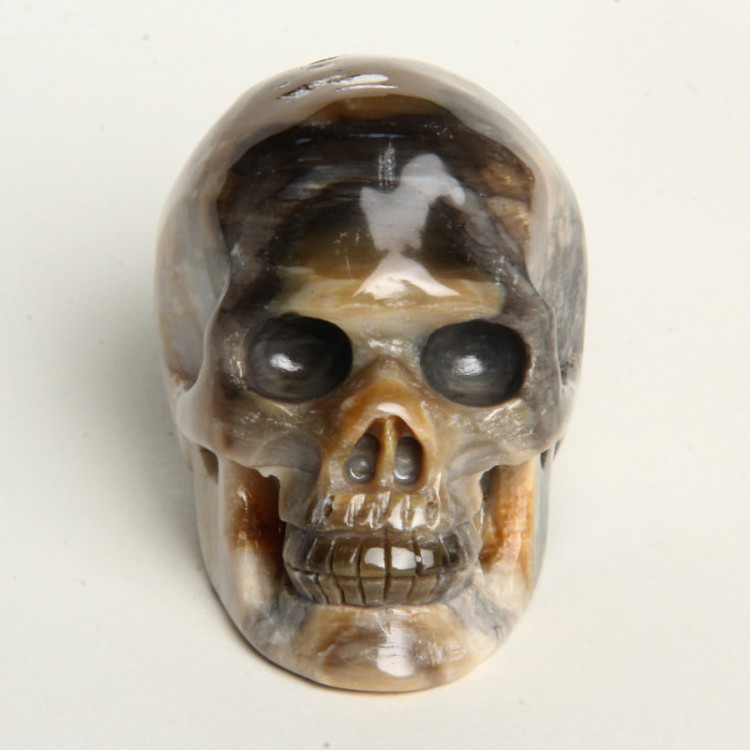 New arrival petrified wood fossil stone carved crystal skull for sale