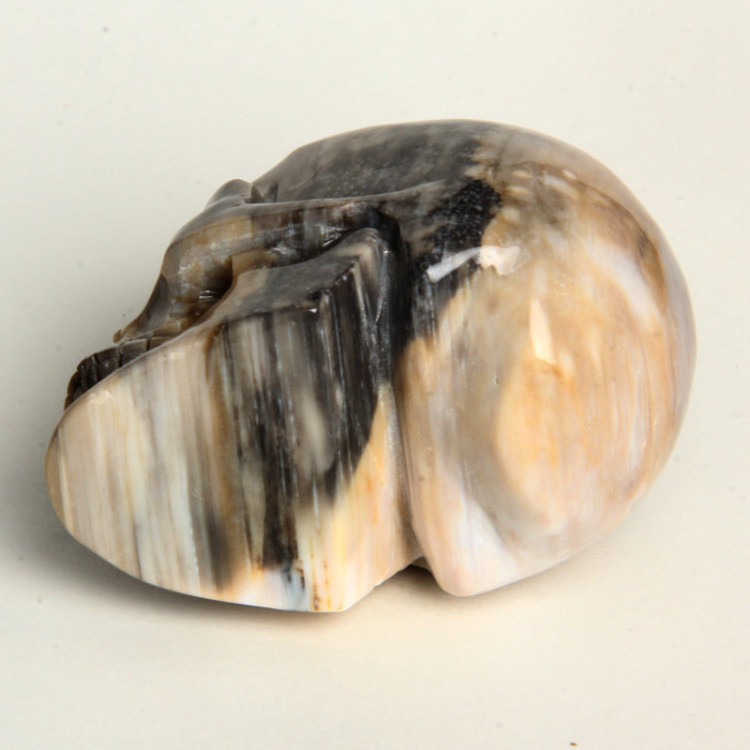 New arrival petrified wood fossil stone carved crystal skull for sale