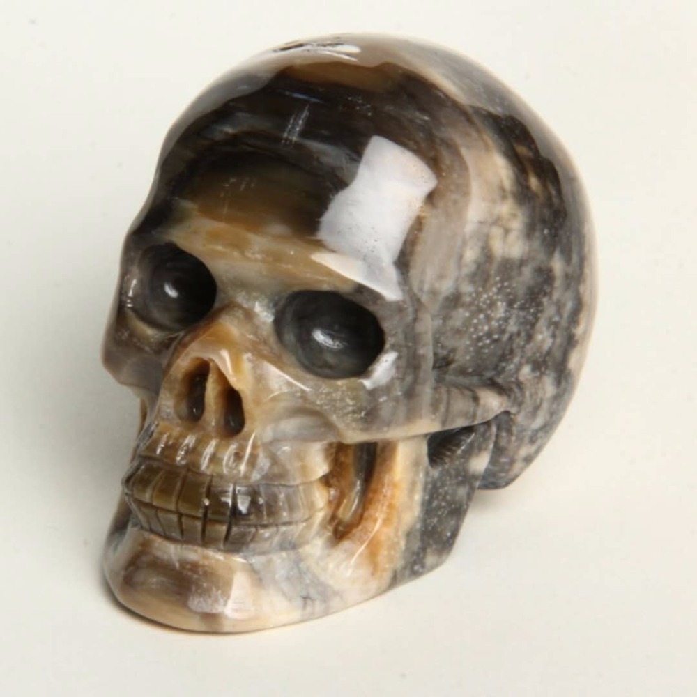 New arrival petrified wood fossil stone carved crystal skull for sale