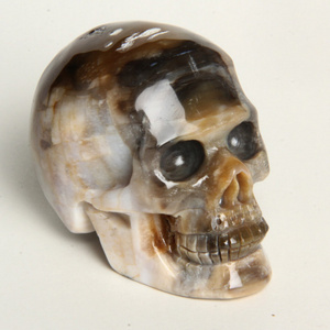 New arrival petrified wood fossil stone carved crystal skull for sale