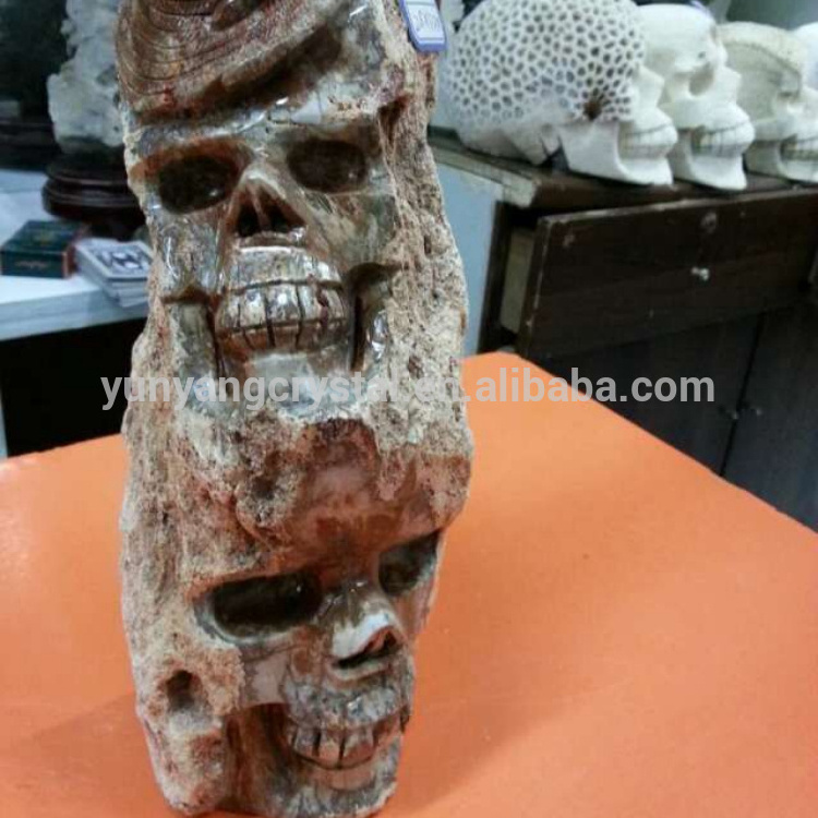 Unique Petrified Wood Fossil stone hand carved skulls crystal skulls healing