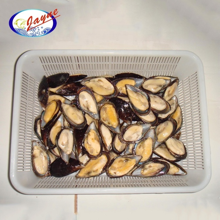 High Quality Hot Sale Seafoods Frozen Blue Mussel Pre-cooked Half Shell Mussel