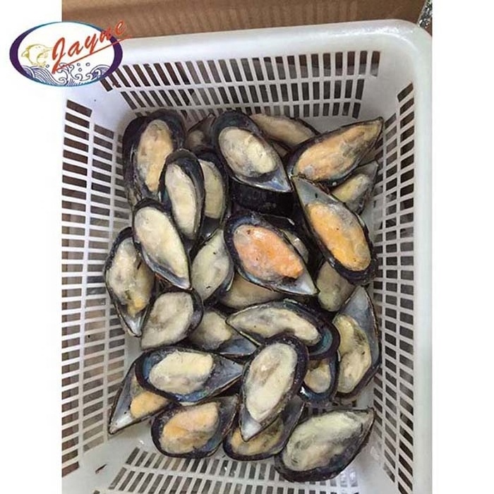 New product launch hot selling frozen mussels meat half shell high quality cleaned japanese squid tentacle