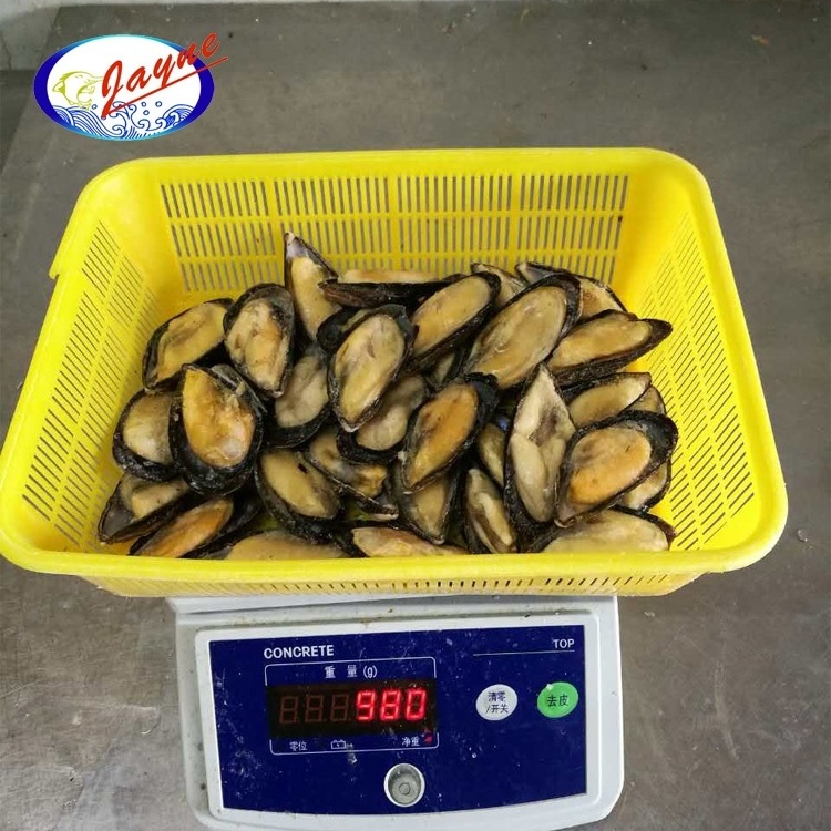 Top quality shellfish mussels half shell with 2 Years shelf life