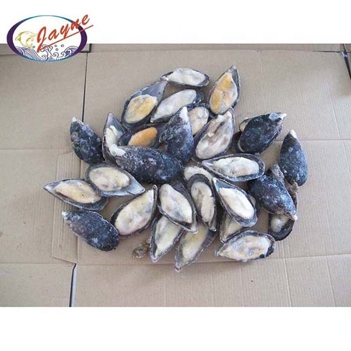 New product launch hot selling frozen mussels meat half shell high quality cleaned japanese squid tentacle