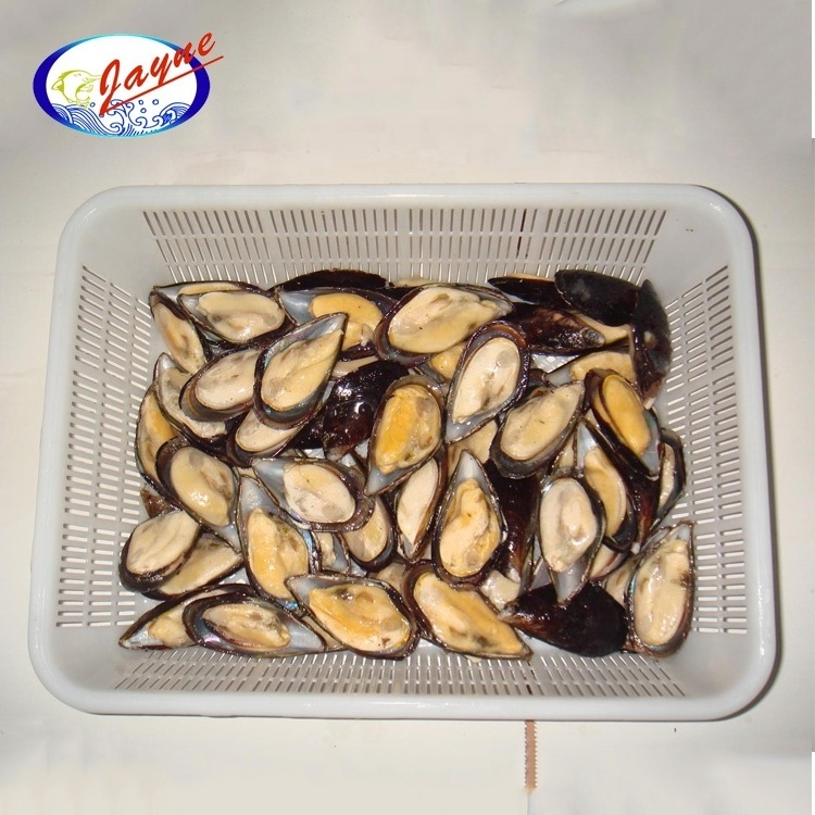 Top quality shellfish mussels half shell with 2 Years shelf life