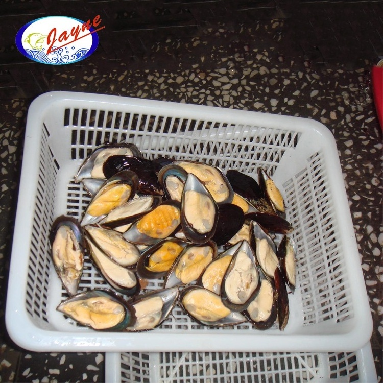 Top quality shellfish mussels half shell with 2 Years shelf life