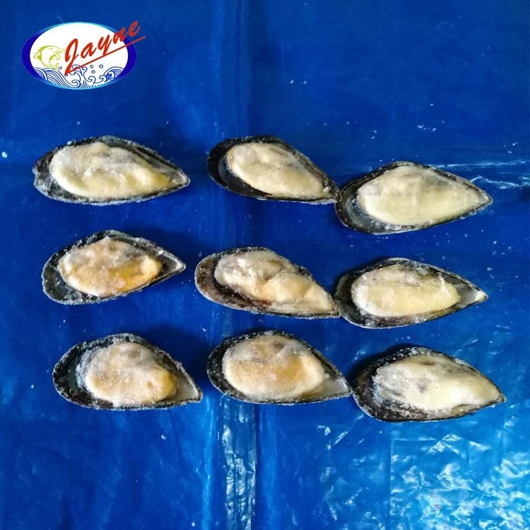 High Quality Delicious Tasty Iqf Half Shell Frozen Mussel frozen mussels in half shell