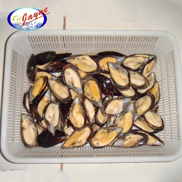 High Quality Delicious Tasty Iqf Half Shell Frozen Mussel frozen mussels in half shell