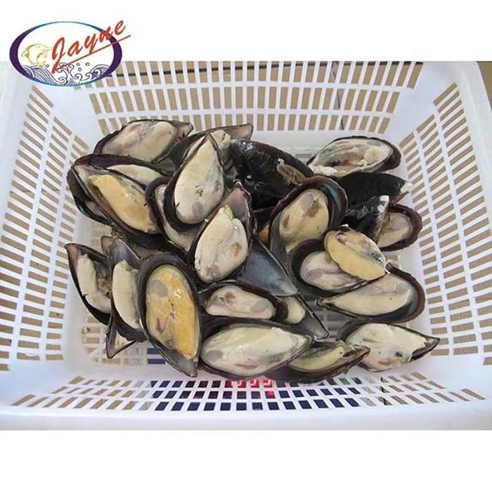 New product launch hot selling frozen mussels meat half shell high quality cleaned japanese squid tentacle