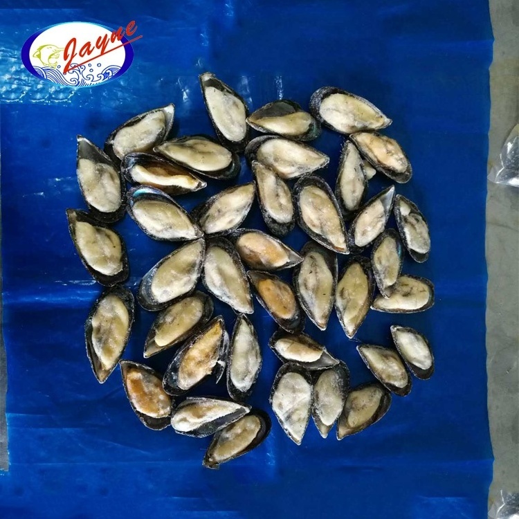 High Quality Hot Sale Seafoods Frozen Blue Mussel Pre-cooked Half Shell Mussel