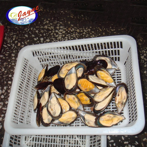 High Quality Hot Sale Seafoods Frozen Blue Mussel Pre-cooked Half Shell Mussel