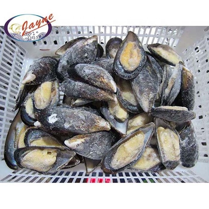 New product launch hot selling frozen mussels meat half shell high quality cleaned japanese squid tentacle