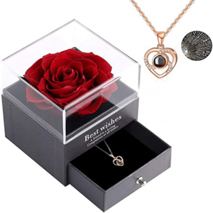 New product ideas 2023 competitive price acrylic preserved rose box with necklace for valentines day