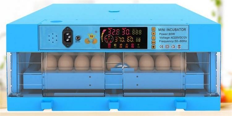 2018 newest design elegant blue 300 egg incubator for chicken /duck /goose/turkey for sale