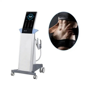 EMS Body Slimming Electromagnetic Muscle Building Fat Burning Weight Loss Cellulite Reduction Machine For Beauty Equipment