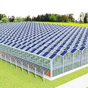 Multi-span Agricultural Greenhouses Tropical Solar Hydroponic Greenhouse Flower Vegetable Growing Stable Structure Glass