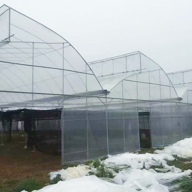 Factory Wholesale Agricultural tunnel Greenhouse High Quality Crop Greenhouse