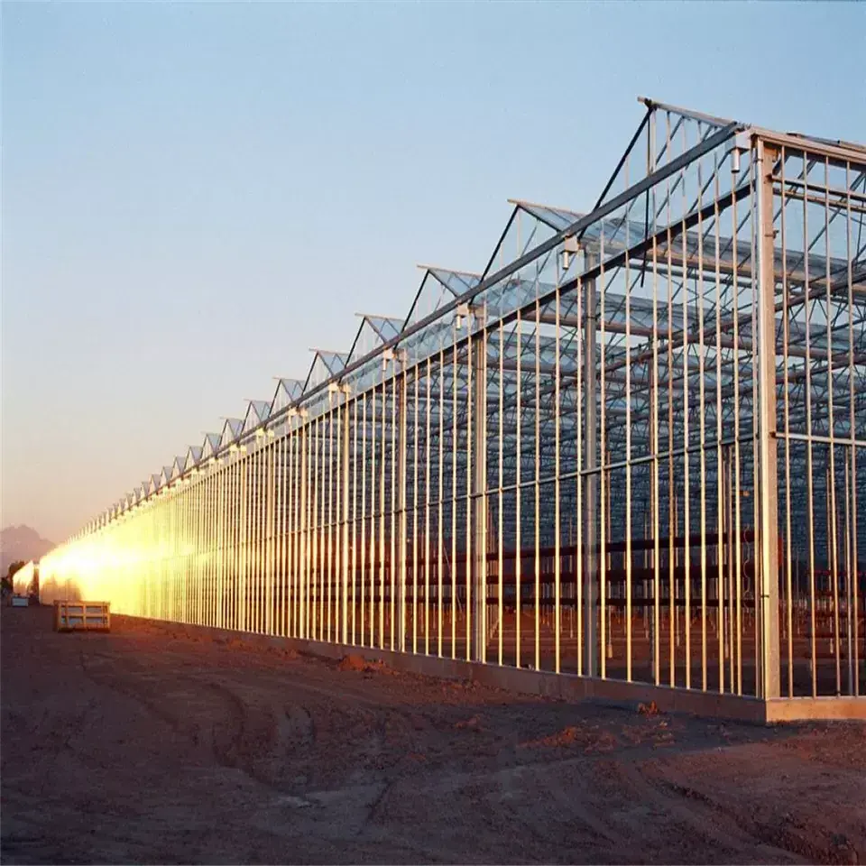 Galvanized steel structure used commercial venlo glass greenhouses for plant growth