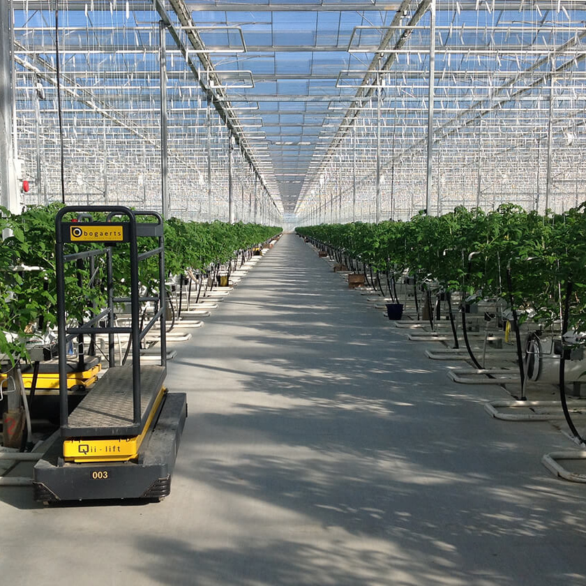 Automated Automatic Agriculture Building Commercial Farming Polycarbonate Film Climate Controlled Tomato Greenhouse