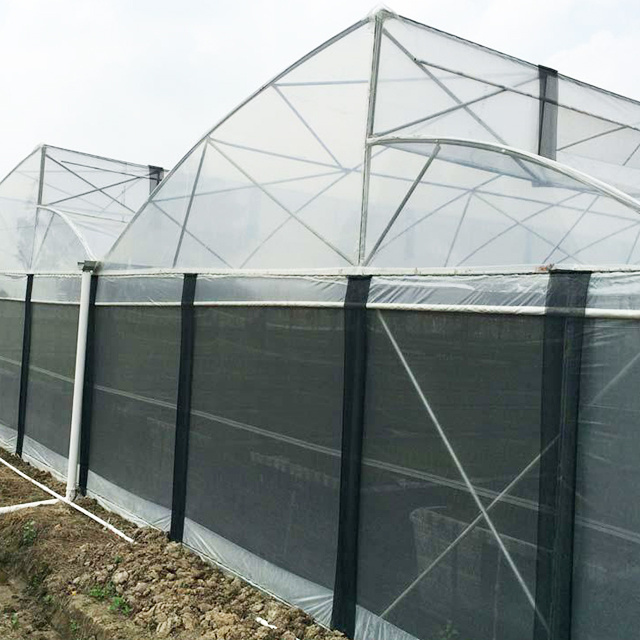 Factory Wholesale Agricultural tunnel Greenhouse High Quality Crop Greenhouse