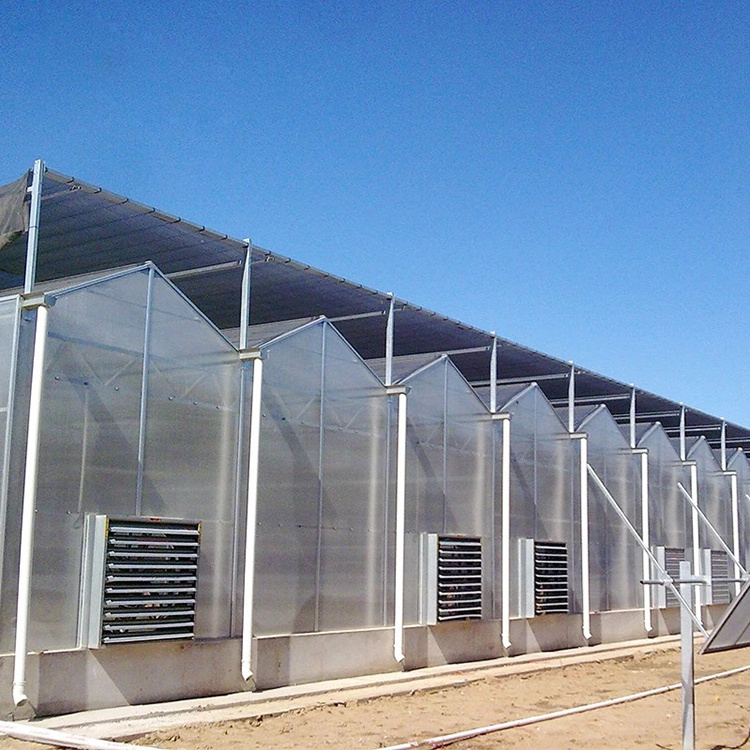 Automated Automatic Agriculture Building Commercial Farming Polycarbonate Film Climate Controlled Tomato Greenhouse