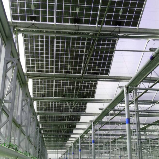 Commercial Hydroponic Glass Pc Sheet photovoltaic  Greenhouse with Tomato Growing System Large